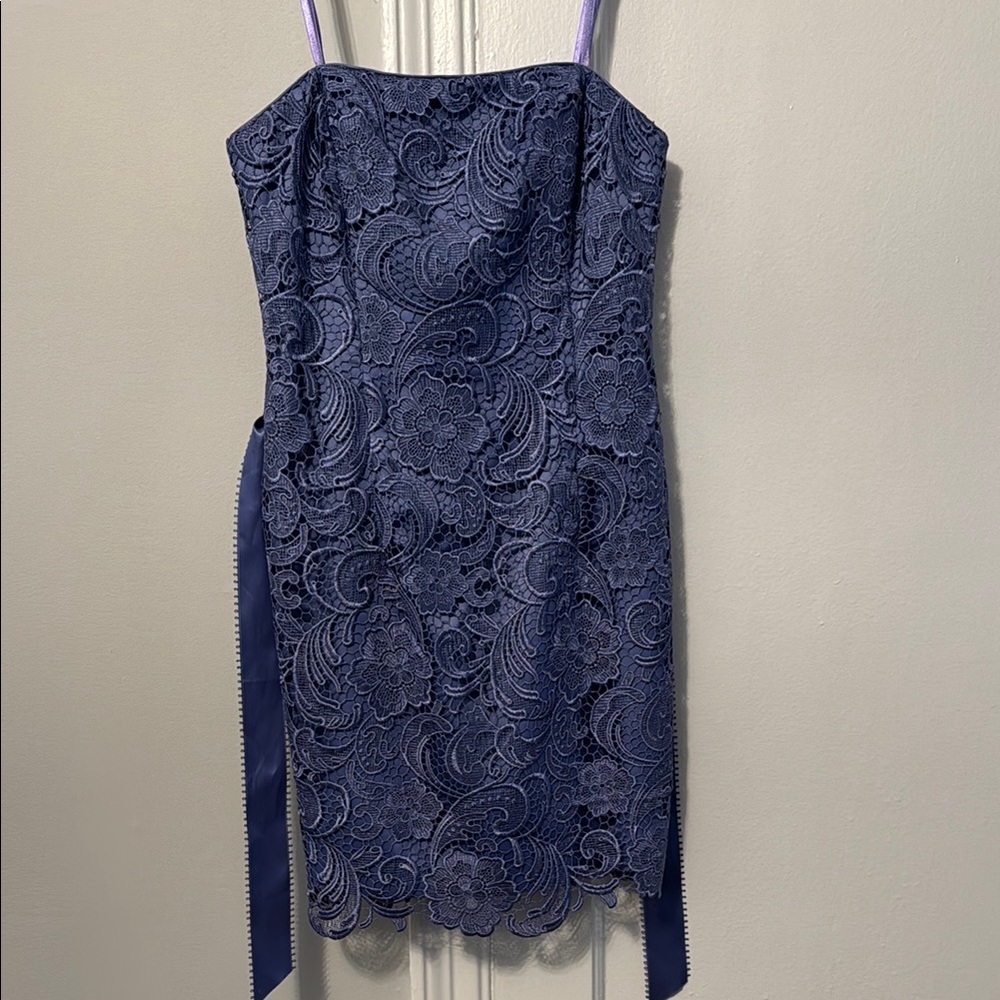 Elegant Lavender  Lace Dress